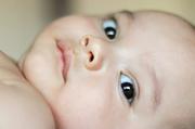 「僕は白人だよ...」2歳の男の子のSNS動画に共感の嵐...母はアジア系 ...