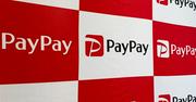 『「PayPay」命名は地獄のプロセス　候補に挙がった別案とは』へのコメント