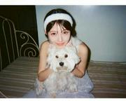 「天使降臨」浜辺美波と4匹のわんこが共演 2026年カレンダーの ...