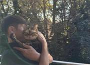 窪田正孝、最愛の猫・ニコの旅立ちを報告「世界で1番自由な猫だっ ...