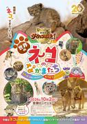 MISIA「ガムシャラ」とネコ科動物たちが共演 『劇場版ダーウィンが ...