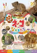 『劇場版ダーウィンが来た！』MISIA「ガムシャラ」を使用したSP ...