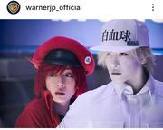 「テレビつけたら永野芽郁」「久しぶりに見た」変ぼう姿に ...