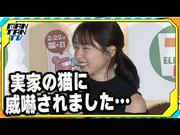 桜井日奈子、実家の猫に忘れられる？「この間威嚇された」と残念 ...