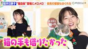 桜井日奈子、猫愛が炸裂！？“猫店長”にメロメロで会見の緊張も ...
