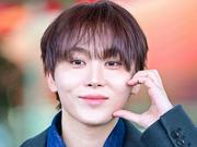 「ワンコになりたい」SEVENTEEN・スングァン、犬を抱いて優しく ...
