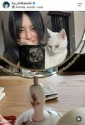 女優で歌手の柴咲コウが、愛猫との別れを報告した。
