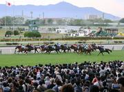 竹内涼真さんも来場 6月13日開幕の函館競馬 公開調教などイベント続々