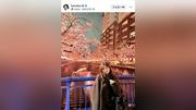美ウエストが話題！土屋太鳳の姉・炎伽さん、満開の桜バックに輝く笑顔…弟・神葉が３０歳誕生日「私が力をもらった」