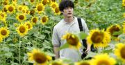 坂口健太郎、将棋に人生を賭けた男を熱演“新境地” 映画『盤上の ...