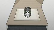 suis from ヨルシカ、Fujii Kaze、米津玄師、YOASOBI……“動物”モチーフ ...